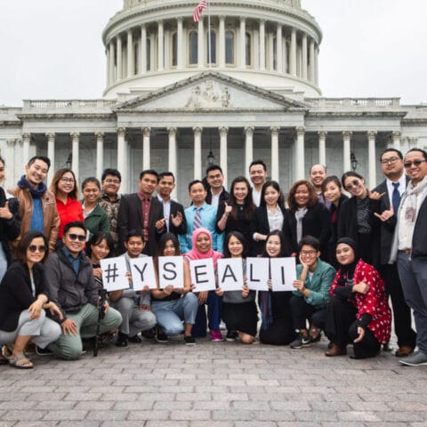 YSEALI Professional Fellows Fall 2020